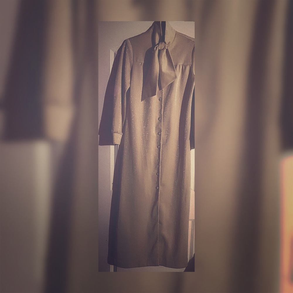 Vintage Caron/Chicago Dress